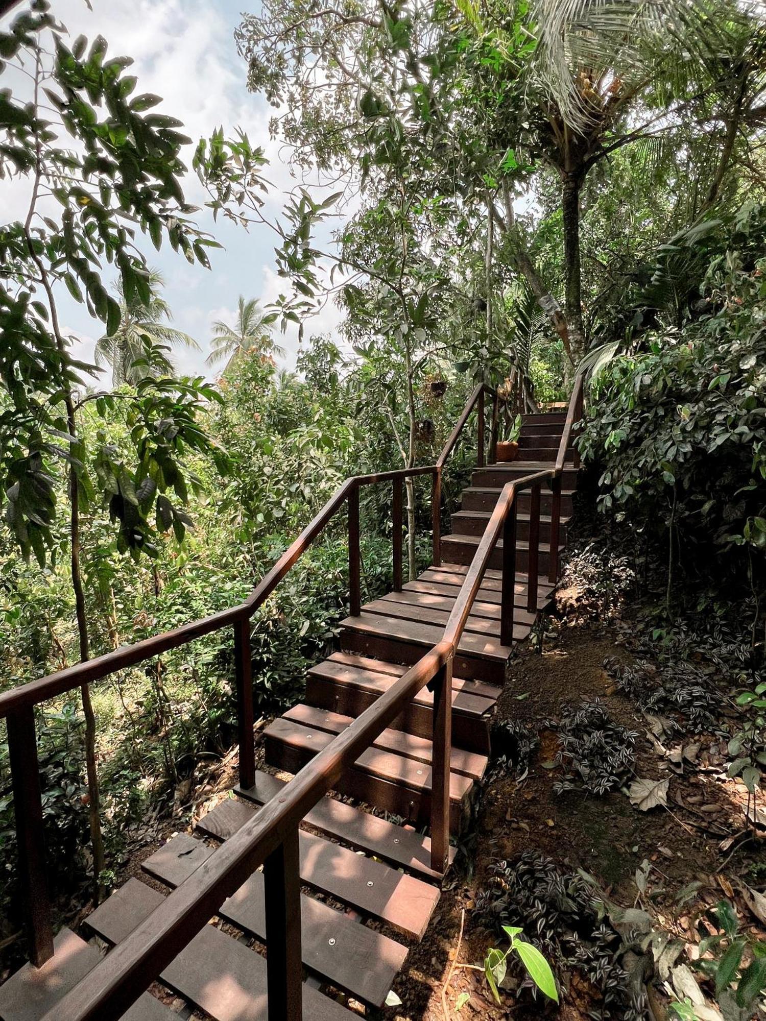 Cinnamon View Lodge Mirissa Cameră foto